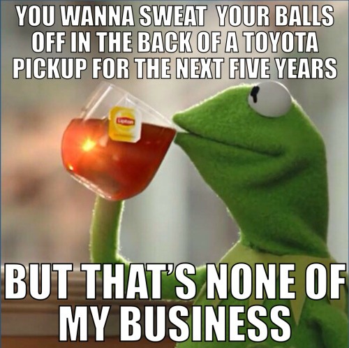 17 Relatable Kermit Sipping Tea Memes: The Best "None of My Business" Templates