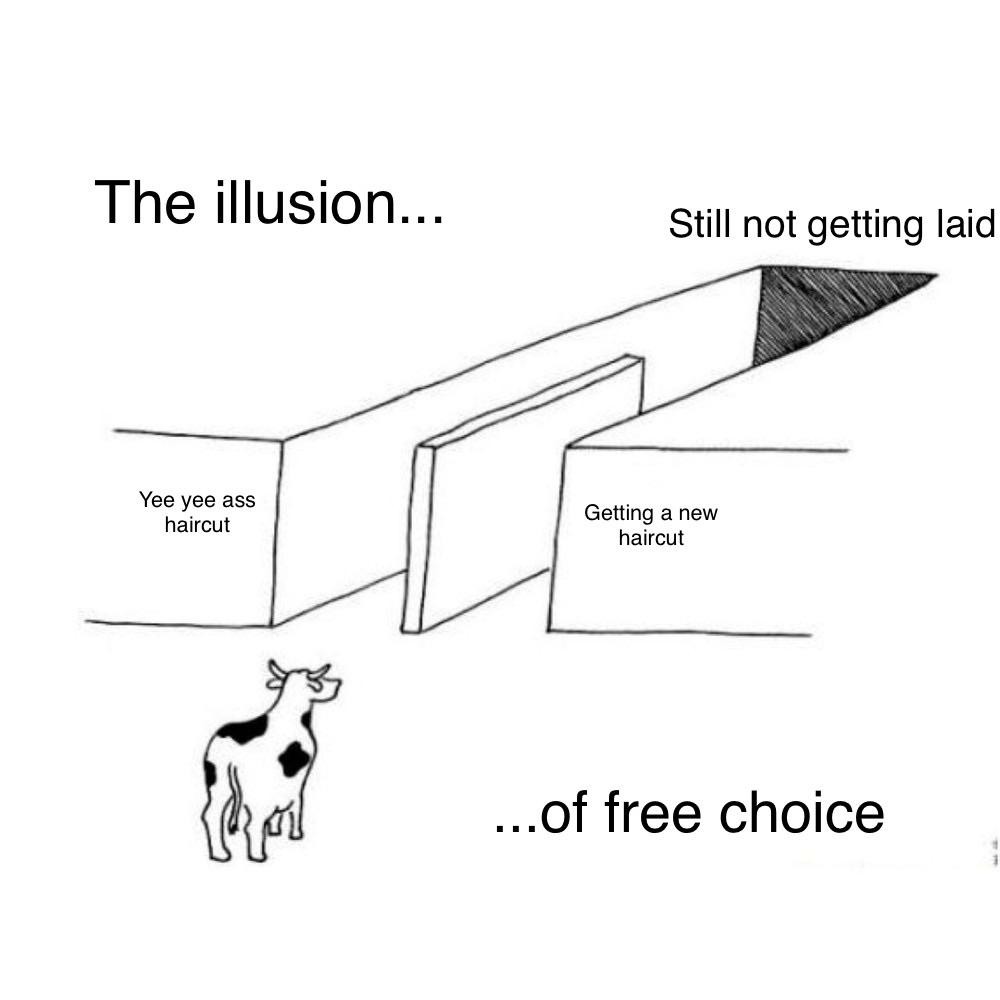 18 "Illusion of Choice" Meme Examples That Perfectly Explain a False Dilemma