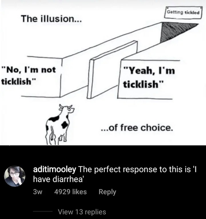 18 "Illusion of Choice" Meme Examples That Perfectly Explain a False Dilemma