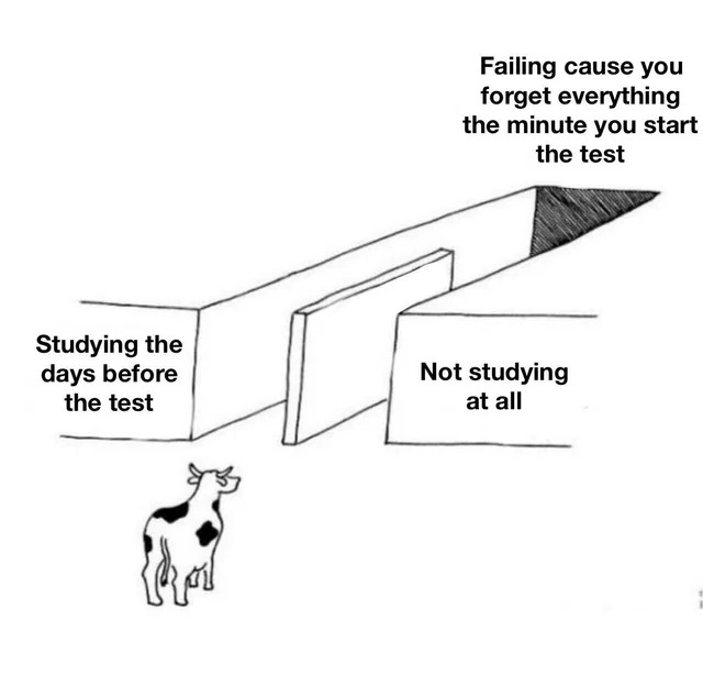 18 "Illusion of Choice" Meme Examples That Perfectly Explain a False Dilemma