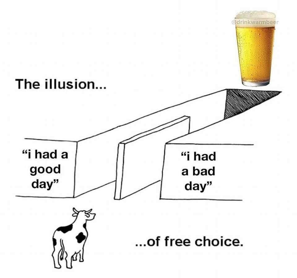 18 "Illusion of Choice" Meme Examples That Perfectly Explain a False Dilemma