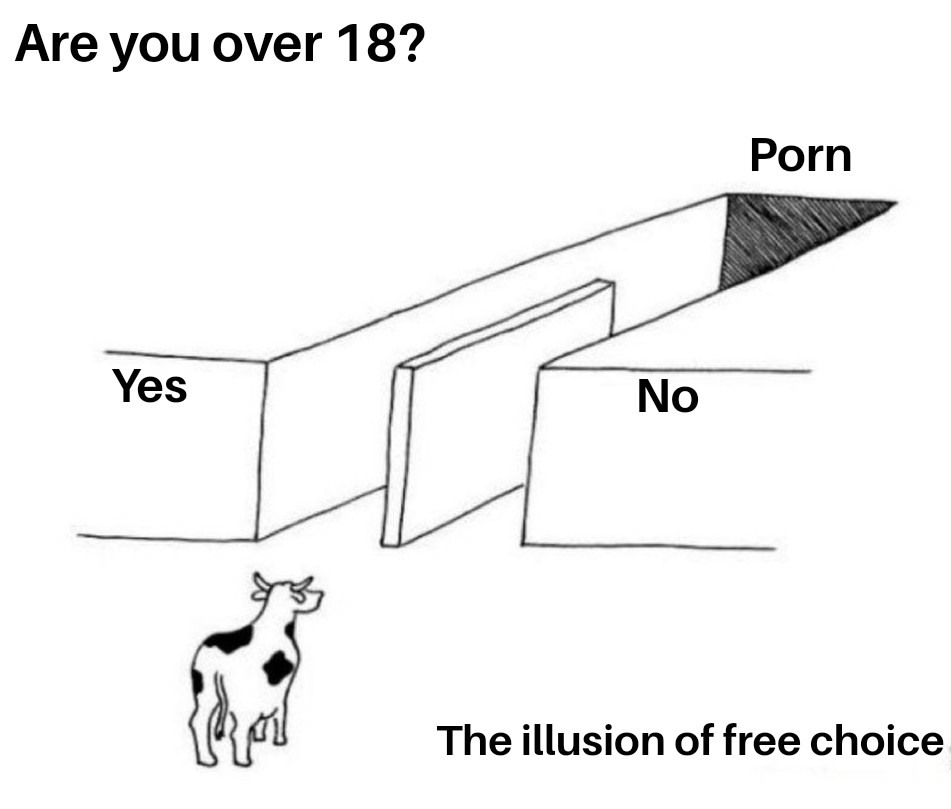 18 "Illusion of Choice" Meme Examples That Perfectly Explain a False Dilemma