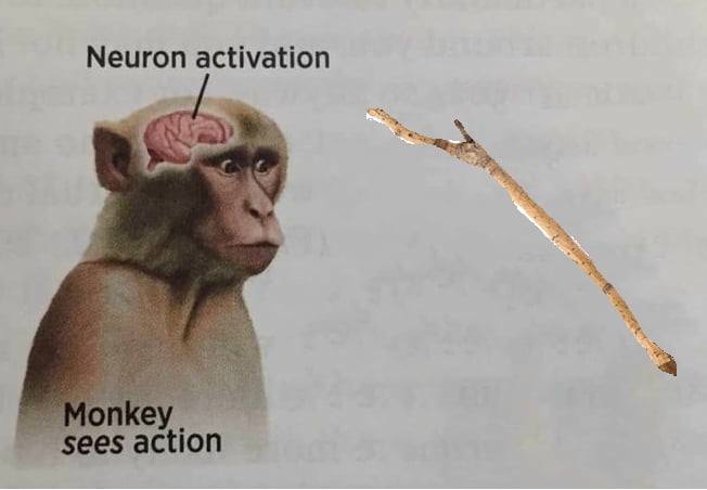 19 Neuron Activation Memes to Trigger Your Instant Dopamine Rush