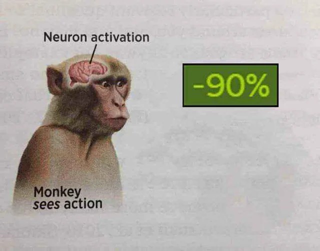19 Neuron Activation Memes to Trigger Your Instant Dopamine Rush