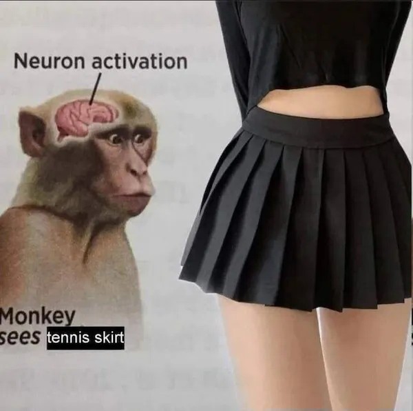 19 Neuron Activation Memes to Trigger Your Instant Dopamine Rush