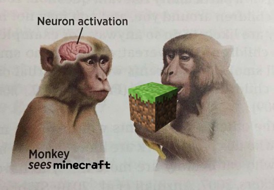 19 Neuron Activation Memes to Trigger Your Instant Dopamine Rush