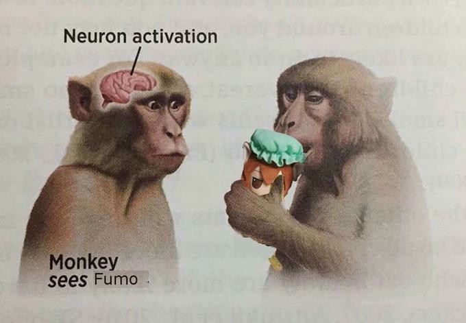 19 Neuron Activation Memes to Trigger Your Instant Dopamine Rush