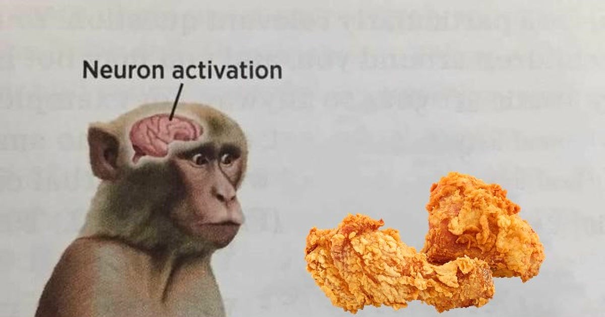 19 Neuron Activation Memes to Trigger Your Instant Dopamine Rush