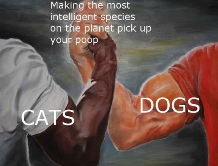 20 Epic Handshake Memes for Groups Finding Common Ground