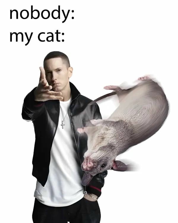 21 Best Eminem Throwing Memes: The "Woe, Plague Be Upon Ye" Shitposting Guide