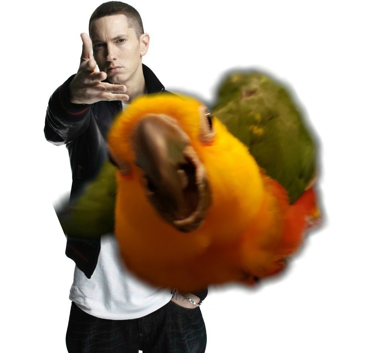 21 Best Eminem Throwing Memes: The "Woe, Plague Be Upon Ye" Shitposting Guide