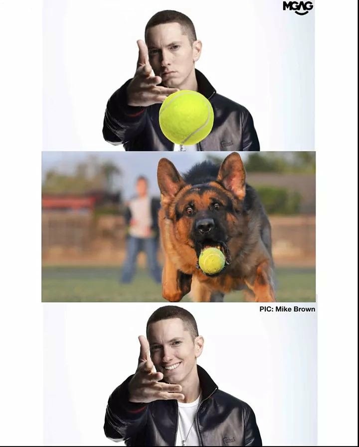 21 Best Eminem Throwing Memes: The "Woe, Plague Be Upon Ye" Shitposting Guide