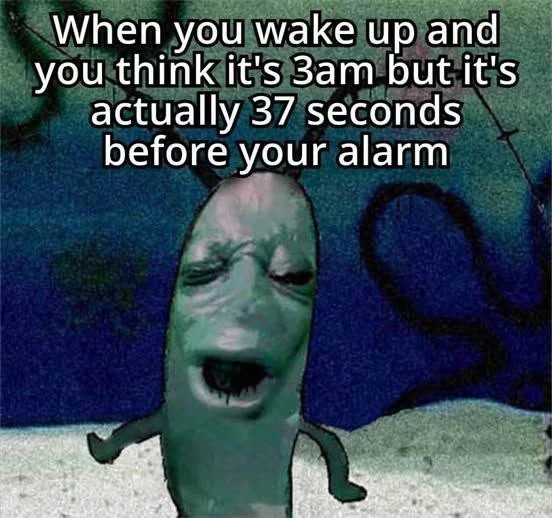 21 Best Plankton Moaning Memes for When You’re Mentally Exhausted