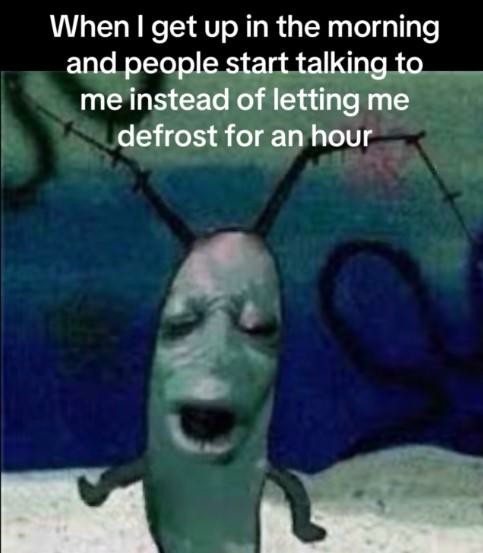 21 Best Plankton Moaning Memes for When You’re Mentally Exhausted