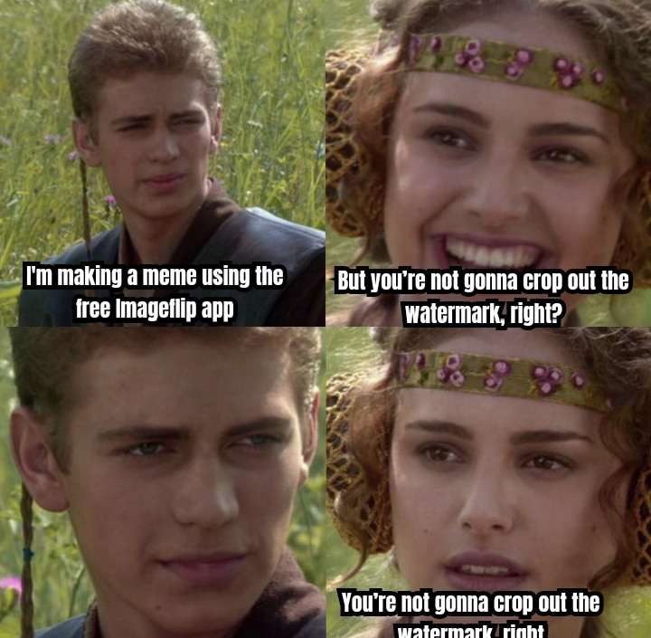 21 Dark-Humored Anakin and Padmé Memes & Blank Templates for Your Next Twist