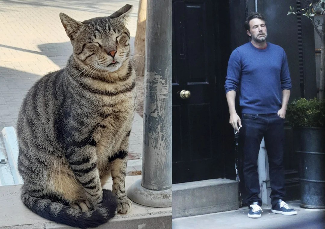 23 Ben Affleck Smoking Memes & Templates for Daily Exhaustion