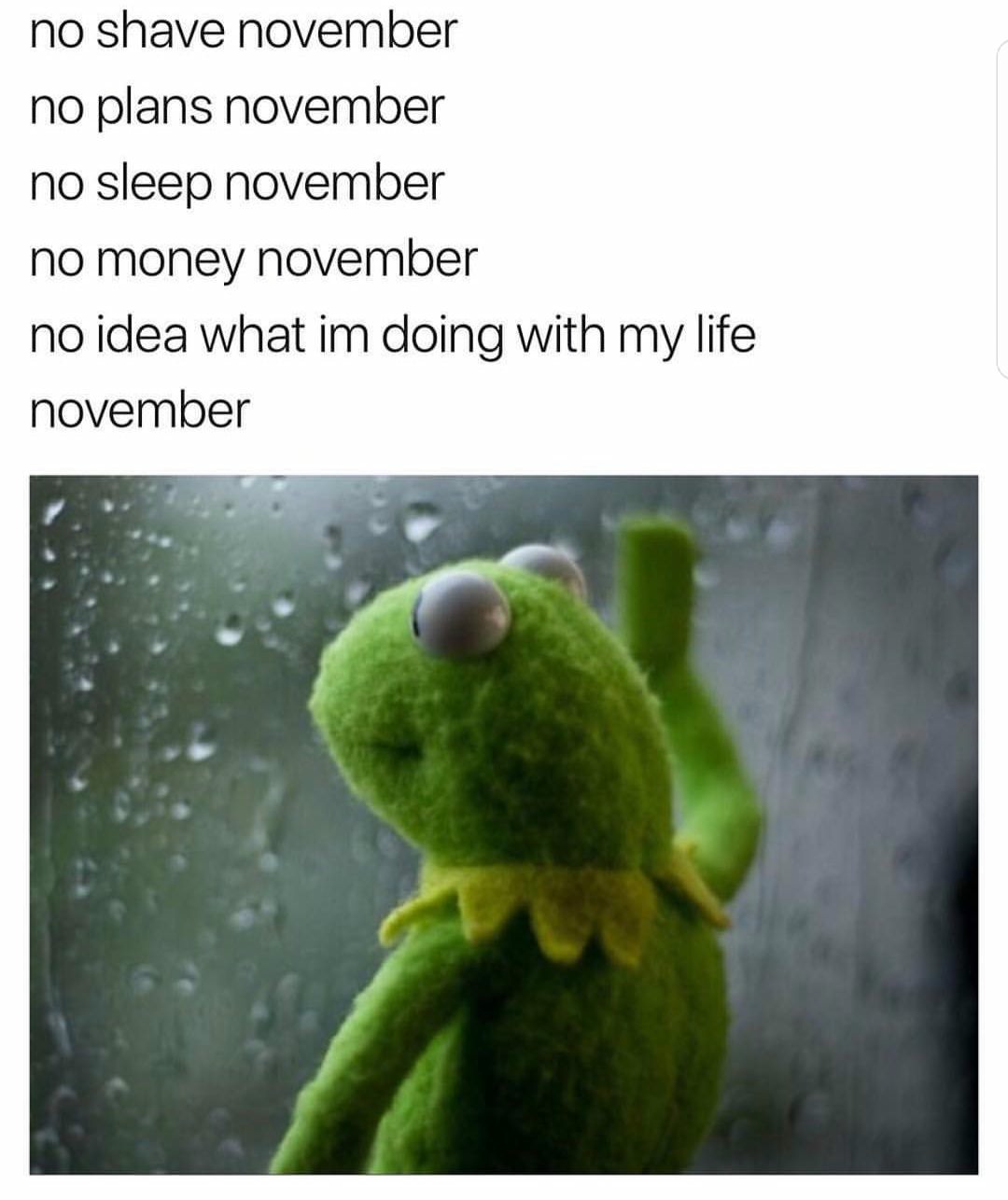 23 Kermit Window Meme Examples & Templates to Capture Your Quietest Moments