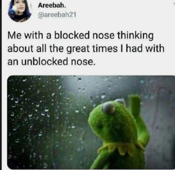 23 Kermit Window Meme Examples & Templates to Capture Your Quietest Moments