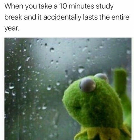 23 Kermit Window Meme Examples & Templates to Capture Your Quietest Moments