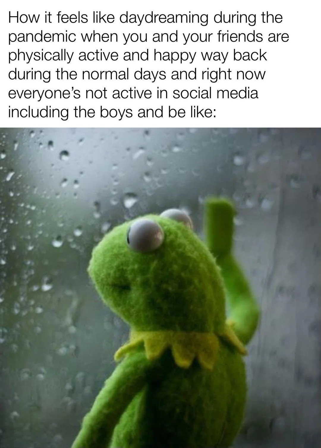 23 Kermit Window Meme Examples & Templates to Capture Your Quietest Moments