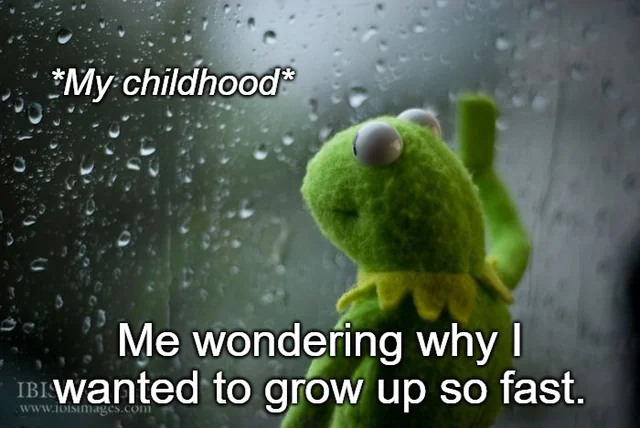 23 Kermit Window Meme Examples & Templates to Capture Your Quietest Moments