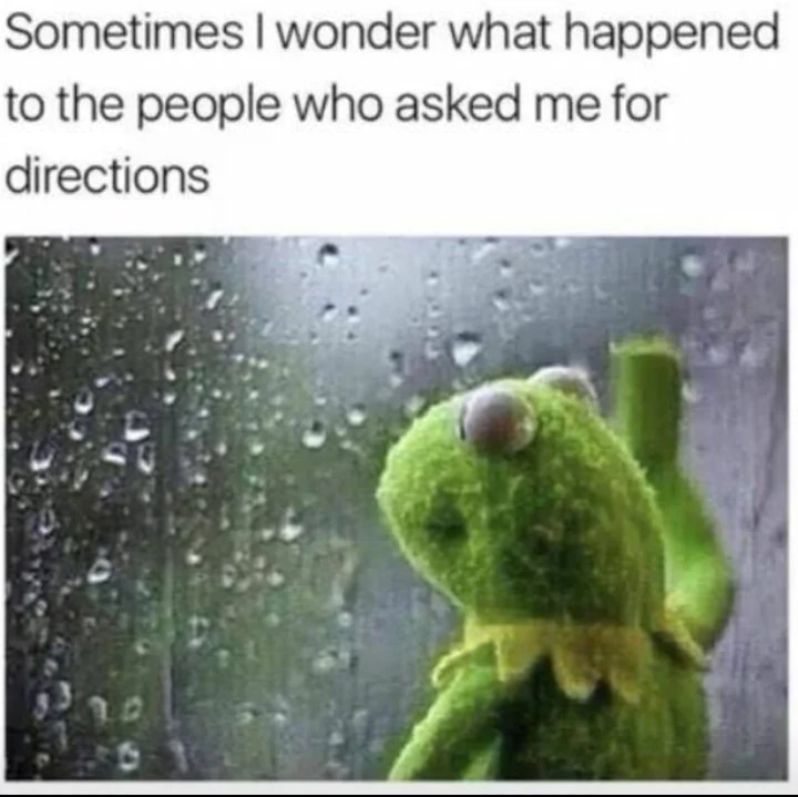 23 Kermit Window Meme Examples & Templates to Capture Your Quietest Moments