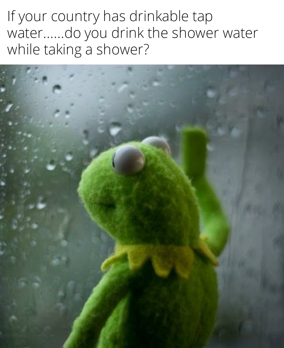 23 Kermit Window Meme Examples & Templates to Capture Your Quietest Moments