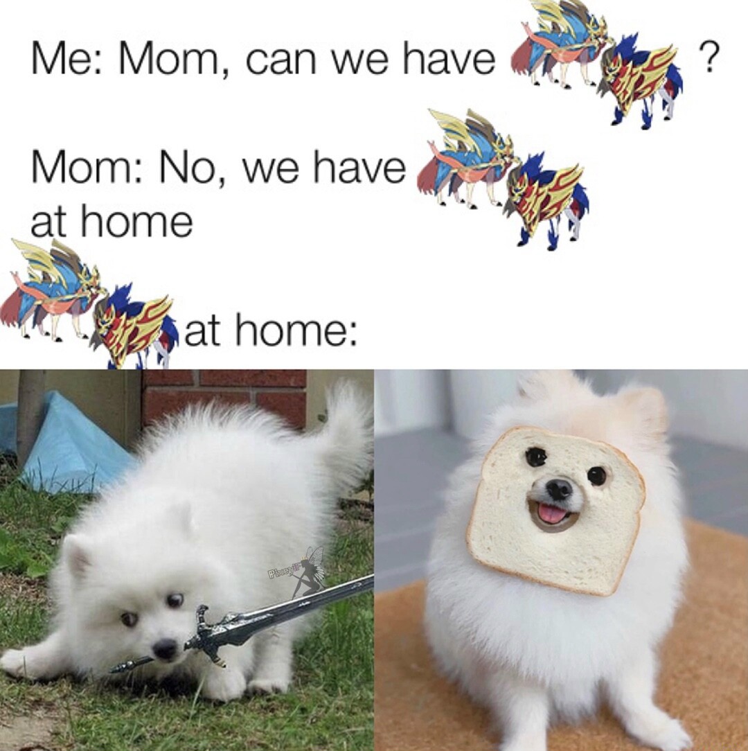 25 Funniest "We Have X at Home" Memes: The Ultimate Parental Tactic Exposed