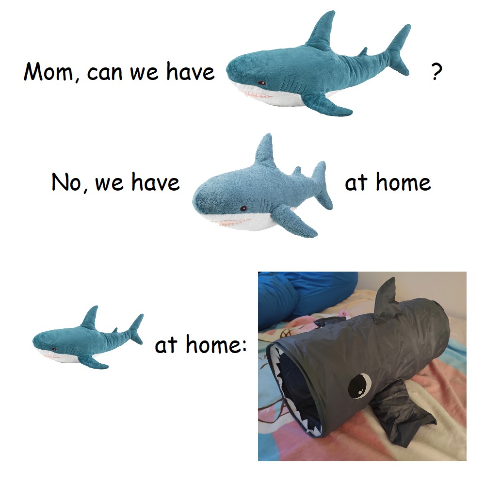 25 Funniest "We Have X at Home" Memes: The Ultimate Parental Tactic Exposed