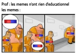 les memes n'ont rien d'educationnel