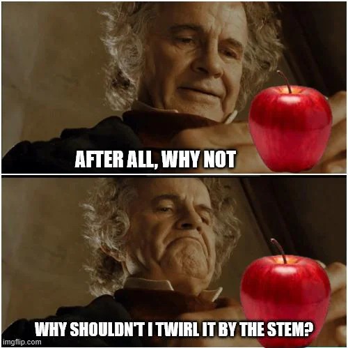 After all why not why shouldn i twirl it by the stem meme explained
