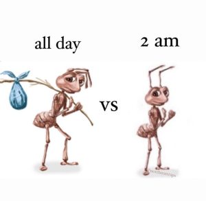 Ant meme all day vs 2 am comparison