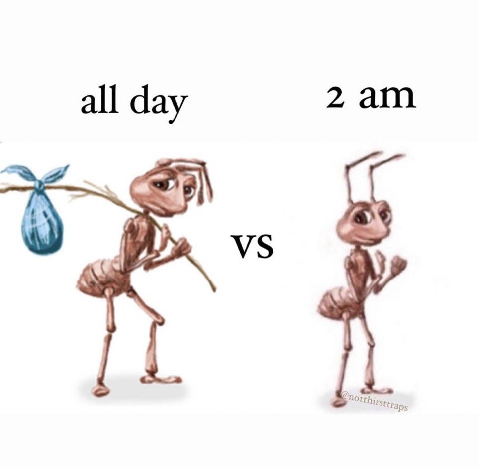 Ant meme all day vs 2 am comparison