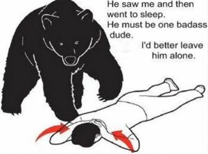 Bear encounter meme explained english text and humor breakdown
