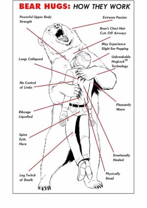 Bear hugs how they work