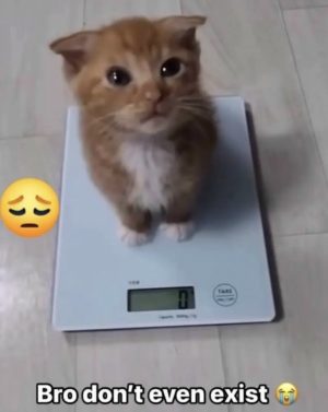 Bro don't even exist meme