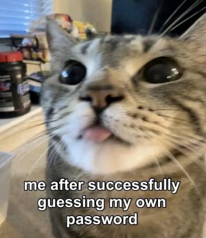 Cat successfully guessing own password