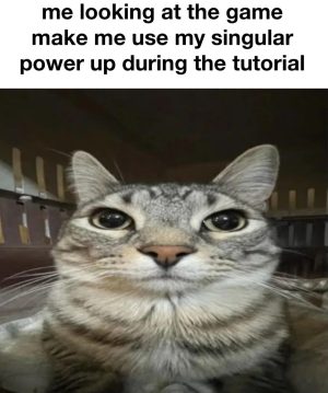 Cat uses singular power up during tutorial funny meme
