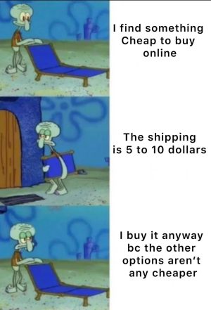 Cheap online purchase with costly shipping decision.