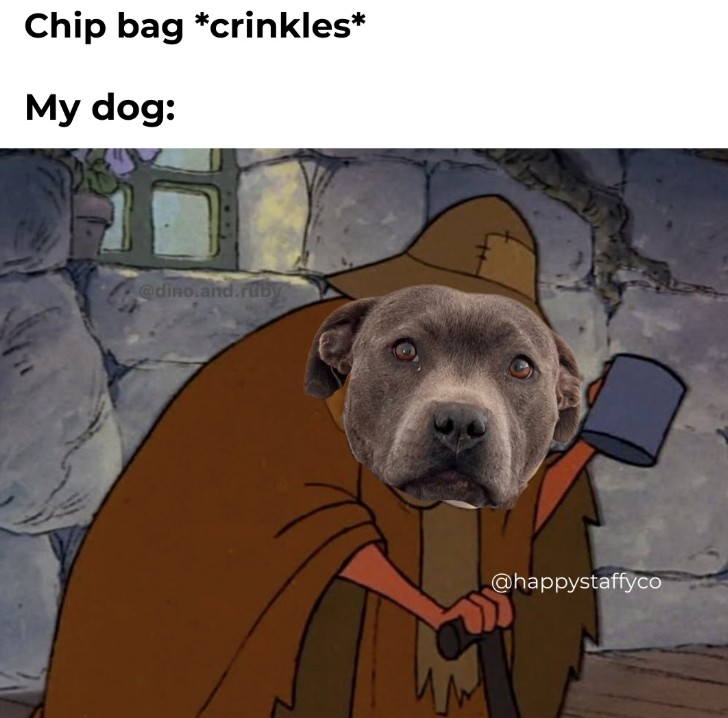 Chip bag crinkles my dog reaction meme.