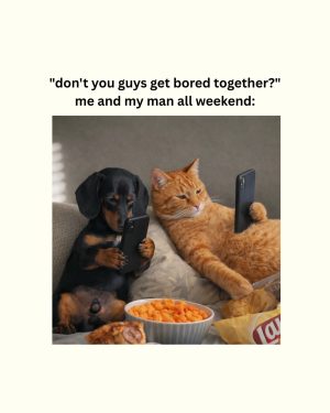 Dog and cat using phones together meme