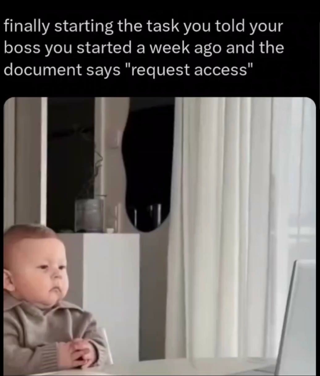 Finally starting the task told boss started week ago but document says request access meme