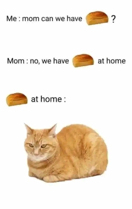 Funny Mom Meme About Bread and Cat At Home.