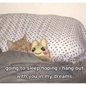 Going to sleep hoping to hang out with you in my dreams meme