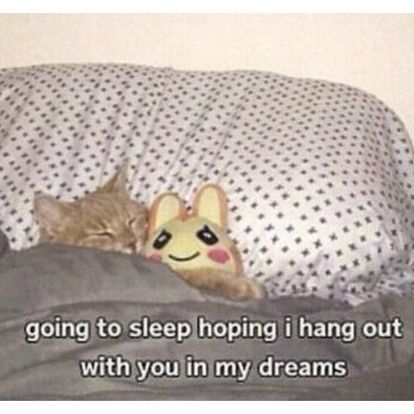 Going to sleep hoping to hang out with you in my dreams meme