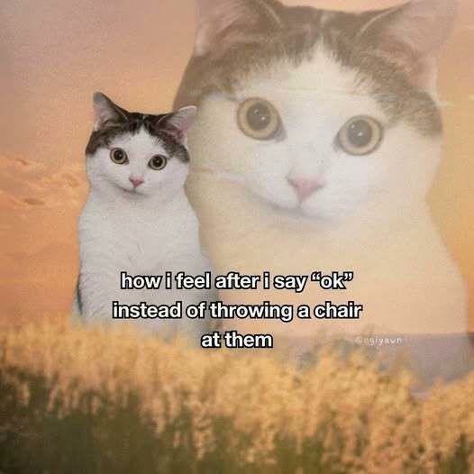 How i feel after i say ok instead of throwing a chair at them