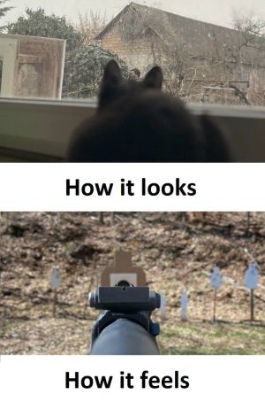 How it looks vs how it feels meme.