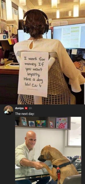 I work for money if you want loyalty hire a dog