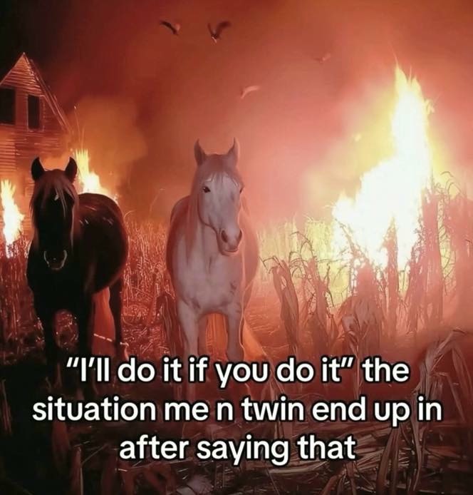 I'll do it if you do it meme twin horses fire situation
