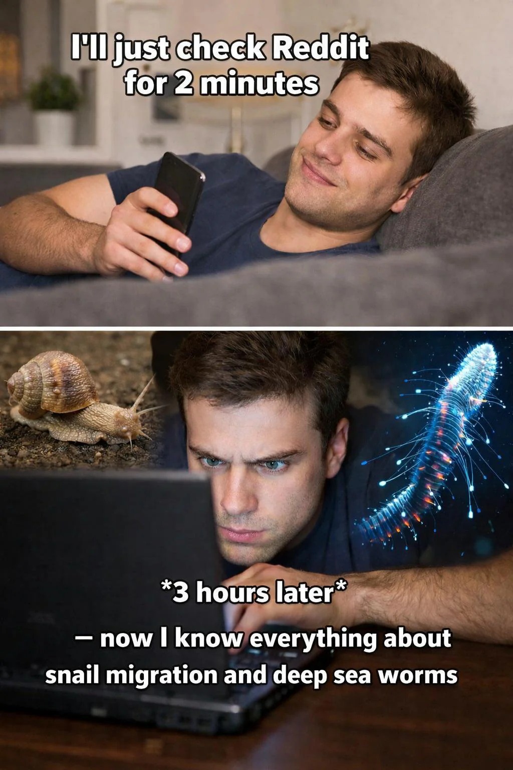 Man checks reddit for 2 minutes and ends up learning about snails and deep